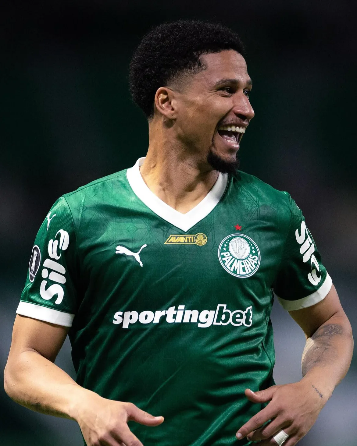 Murilo Paim