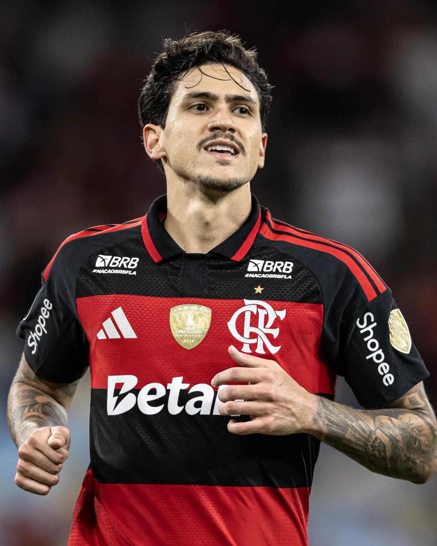 Pedro Guilherme